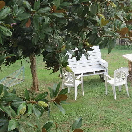 Apartament “bouganville” Loc Avane Pisa Vecchiano