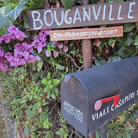 “bouganville” Loc Avane Pisa Apartament