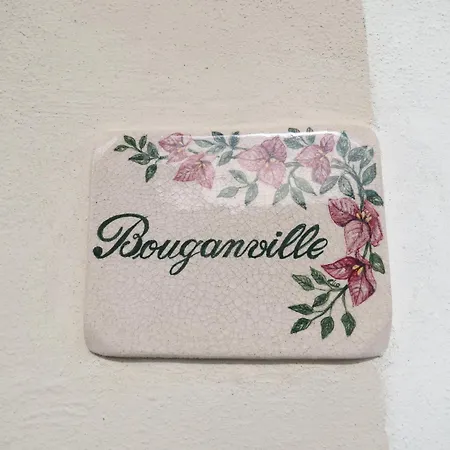 “bouganville” Loc Avane Pisa