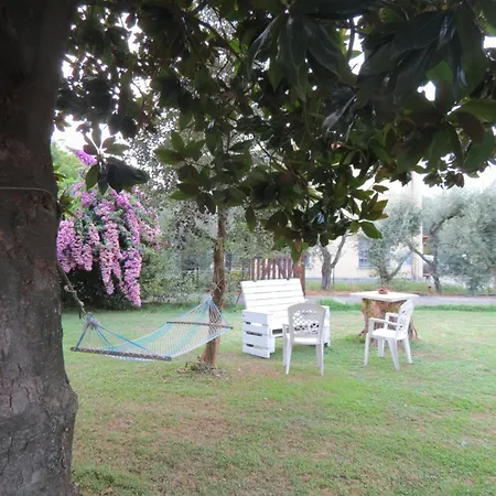 “bouganville” Loc Avane Pisa Apartment *